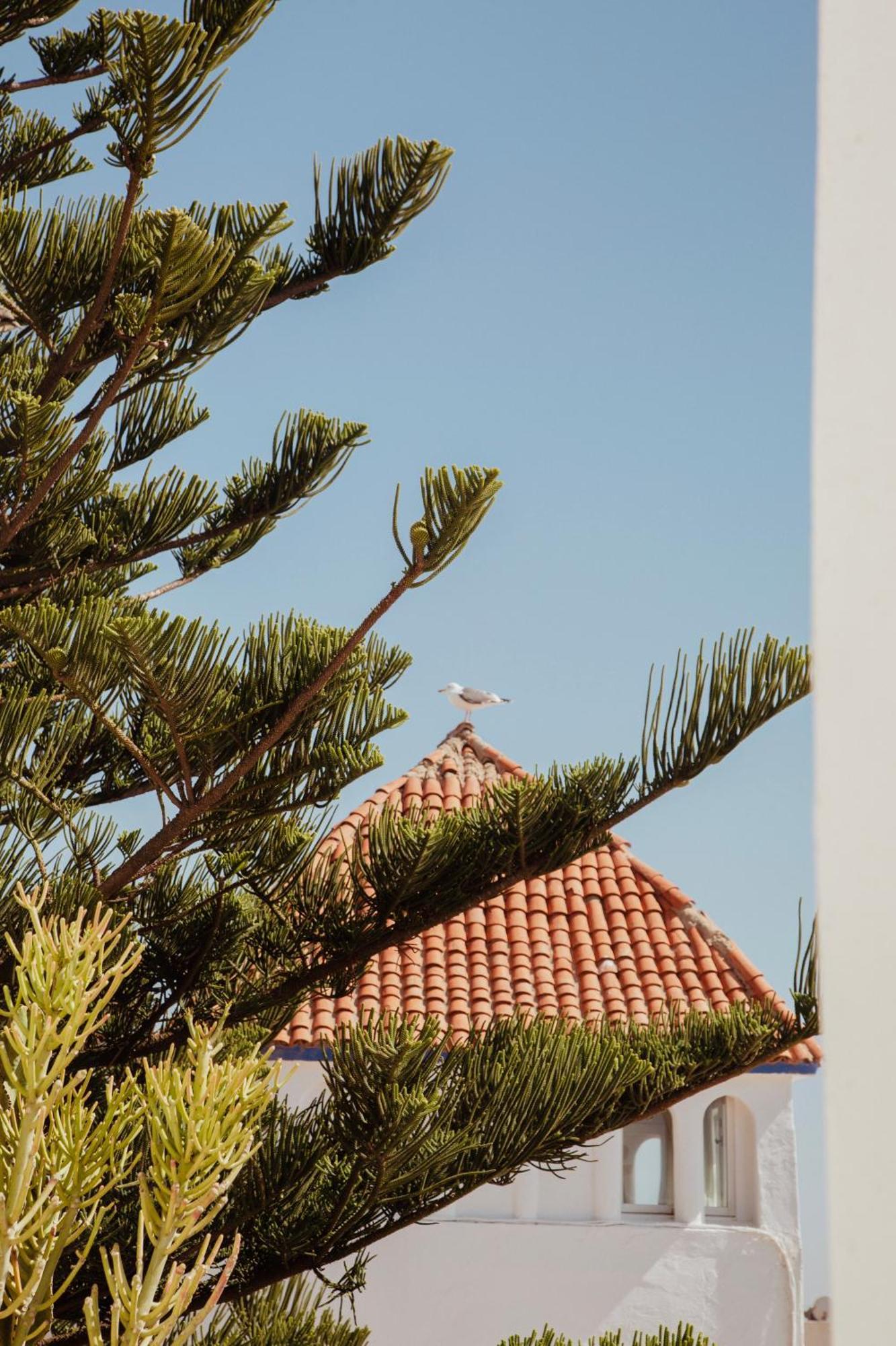 Villa Maroc Essaouira Ngoại thất bức ảnh