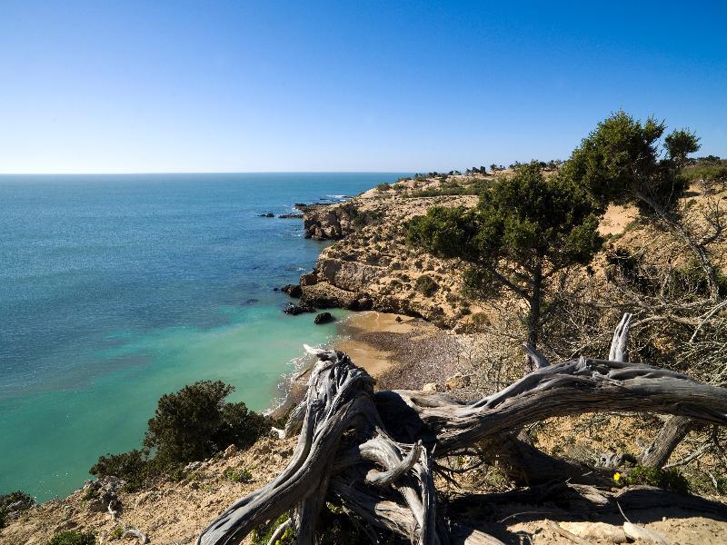 Villa Maroc Essaouira Ngoại thất bức ảnh