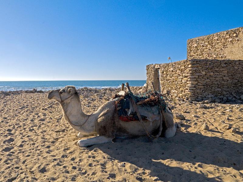 Villa Maroc Essaouira Ngoại thất bức ảnh